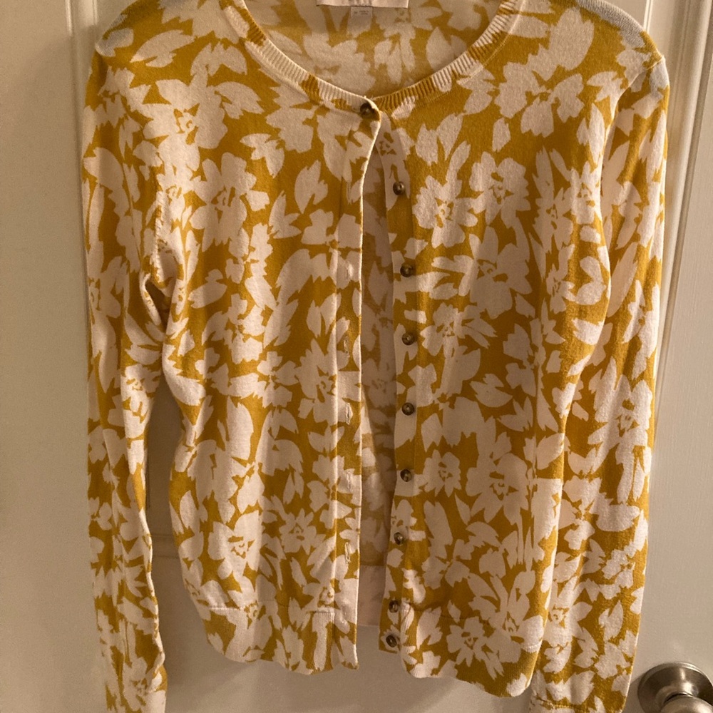 Loft Fall Sweater
